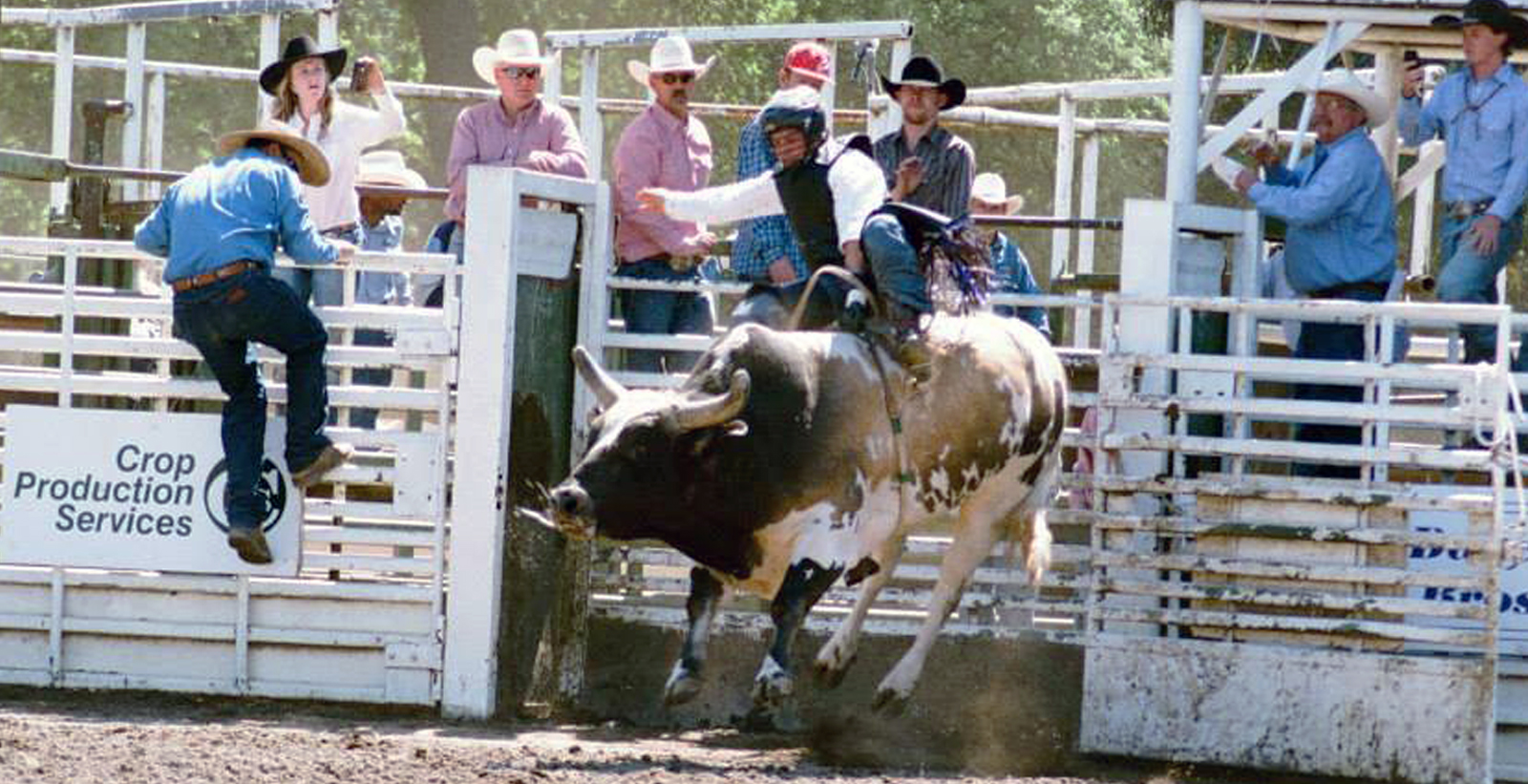 bull riding 2.jpg